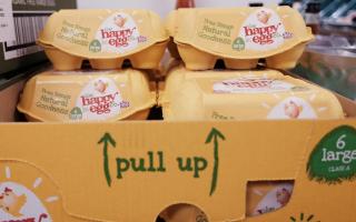 Egg prices in supermarkets could go up