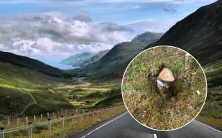 Members of an NC500 Facebook group shared images of fresh tree stumps which appeared to have been cut down for firewood