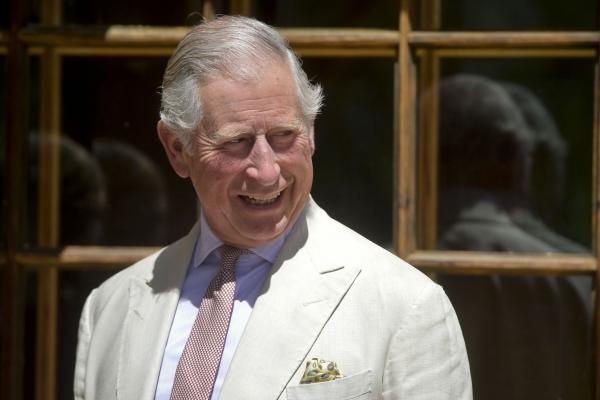 MP criticises Prince Charles' role in BAE Systems' sale of fighter jets to Saudi Arabia