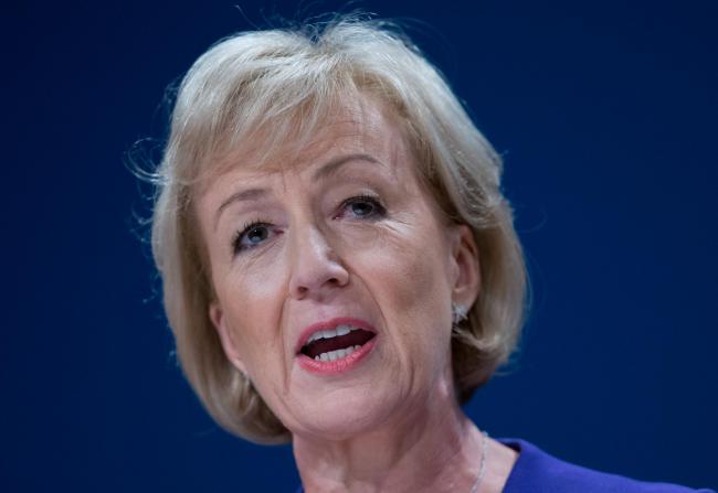 Andrea Leadsom fails to impress Scottish farmers with 'British' blunders in Brexit speech