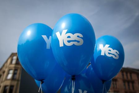 The National: Almost half of Scots believe the SNP Government wilfully distorted the economics of independence to try to win a Yes vote in 2014, according to a new poll.