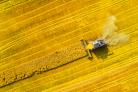 Agriculture contributes to around 13% of global greenhouse gas emissions